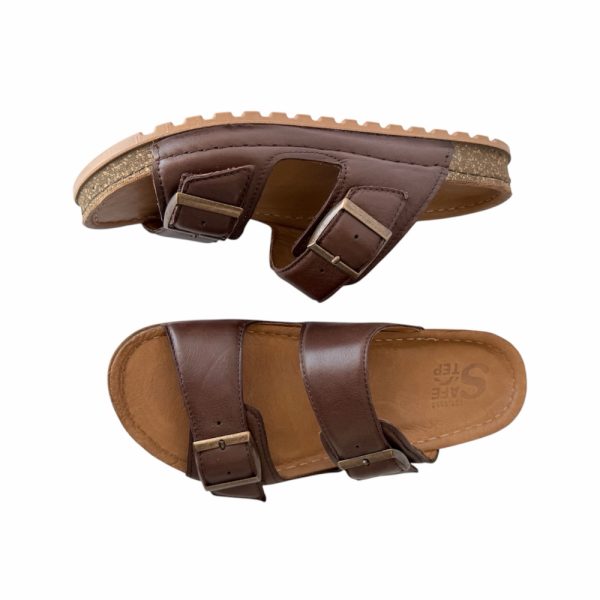 1258 Brown 3 Safe Step.jpg