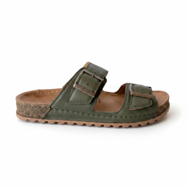 1258 Olive 1 Safe Step.jpg