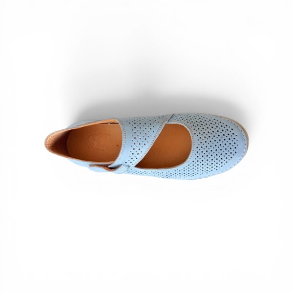 14846 BLUE BELL 3 Safe Step.jpg