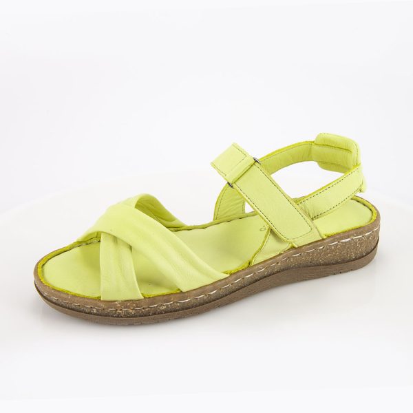 20231 sunny lime.jpg