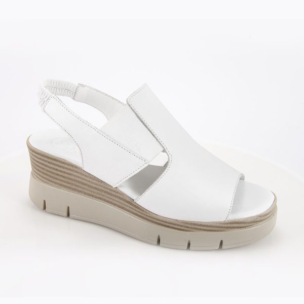 202324 white.jpg