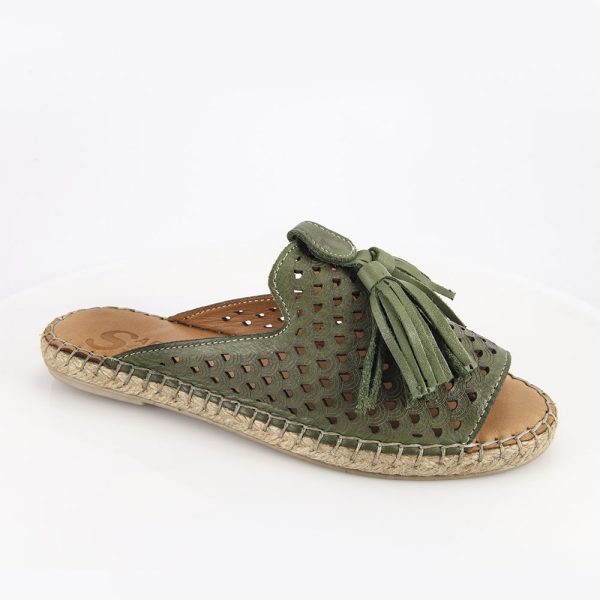 22609 olive.jpg