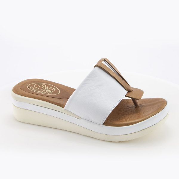 226189 white.jpg