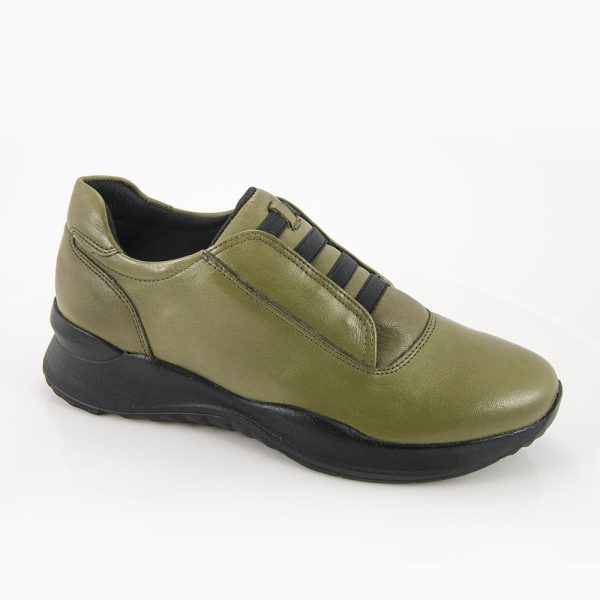 23202 olive.jpg