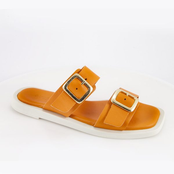 2323 orange 7.jpg