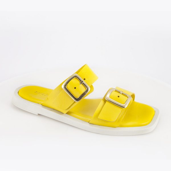 2323 yellow.jpg
