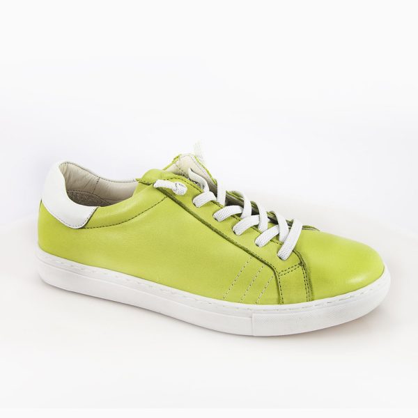 23873 sunny lime 002.jpg