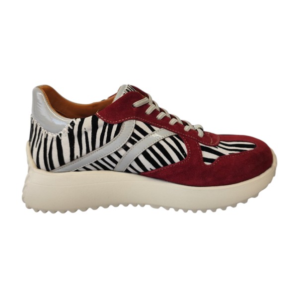 2410 ZEBRA 1.jpg