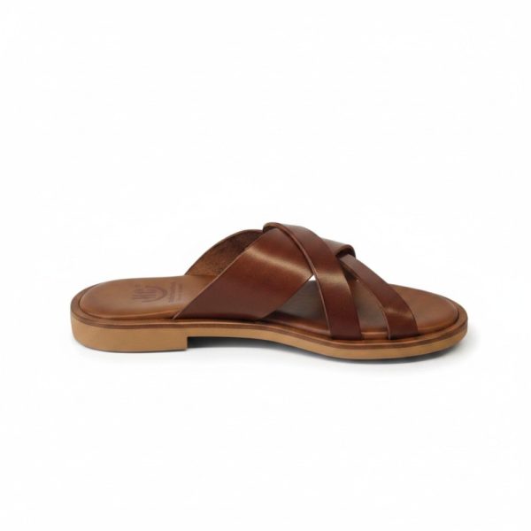 26218 2 Brown Safe Step.jpg