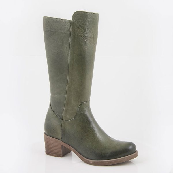 6039 olive 1 7.jpg