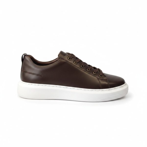 HC 100 010 Brown 1 11.jpg