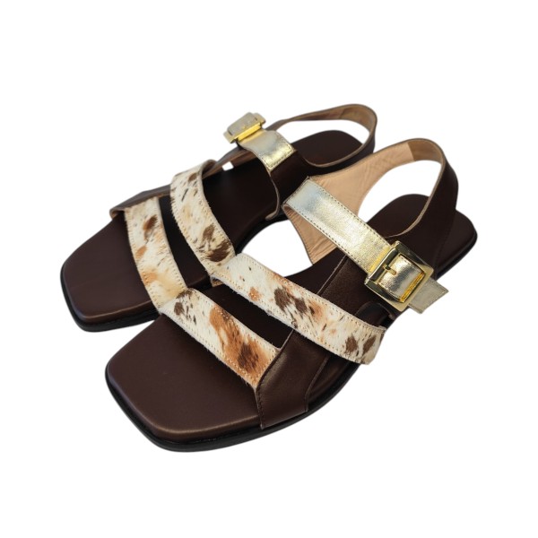 HC Aurora Brown 2.jpg