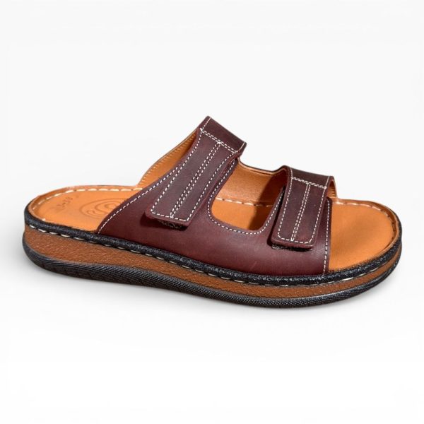 Z 3C BORDO.jpg