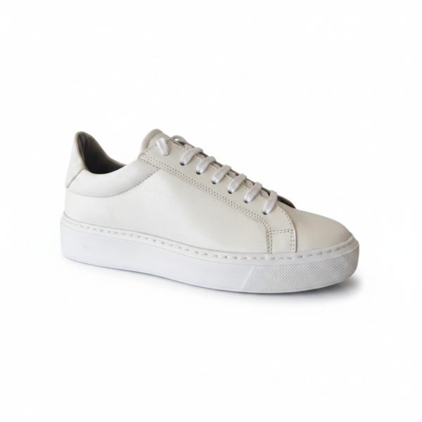 HC 1965 White 1.jpg