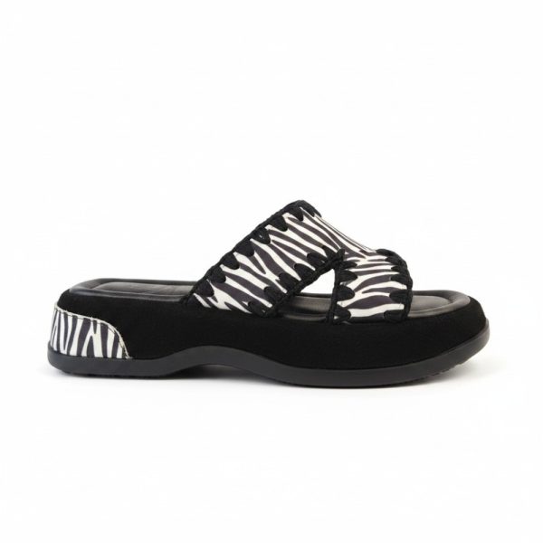 HC 26752 Zebra 1.jpg