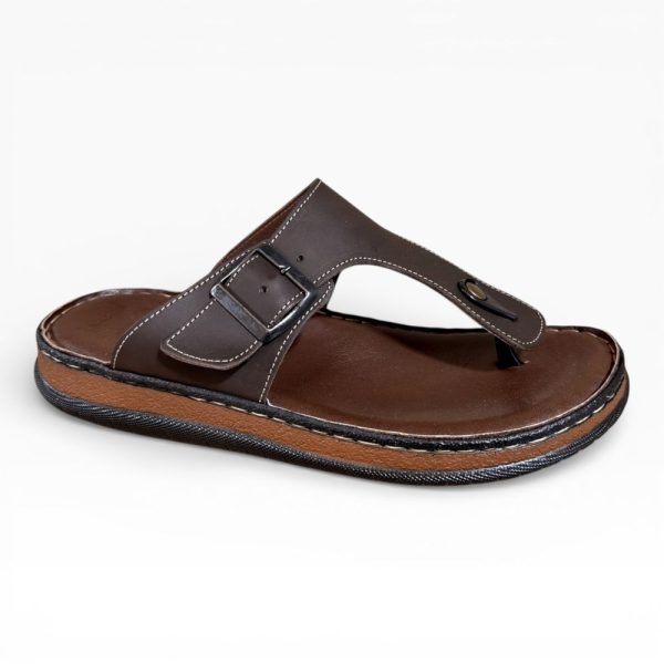 s 8 brown.jpg