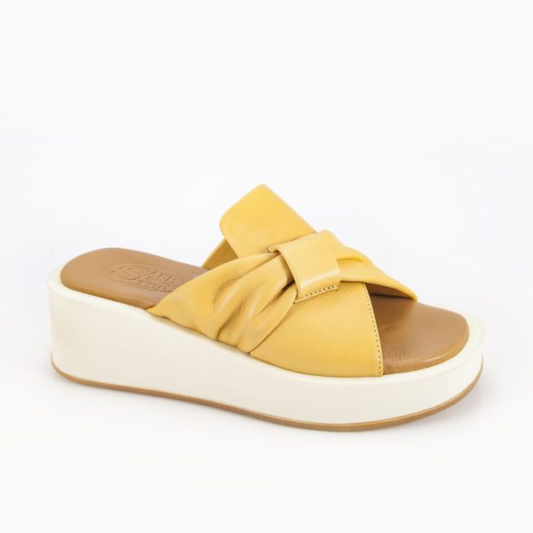 202330 yellow.jpg