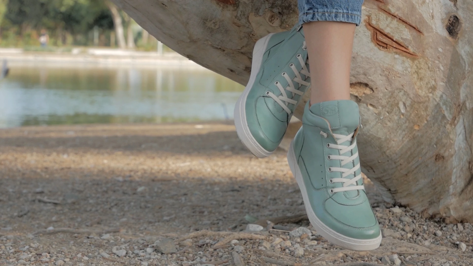 Safe Step Dir.mp4 snapshot 00.30.794